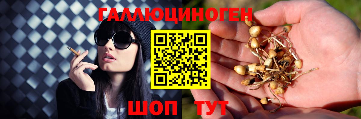 Прокопьевск  Галлюциногенные грибы мицелий  Галлюциногенные грибы мухоморы  Вход с VPN 